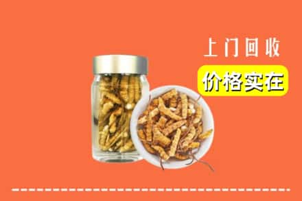 收购资讯:阳泉市郊区回收散虫草
