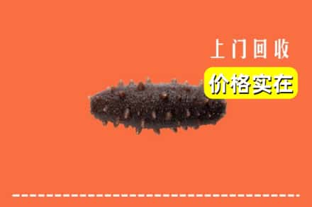收购资讯:阳泉市郊区回收海参