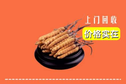 阳泉市郊区回收冬虫夏草